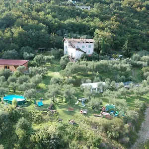 Conte Brunello , Salò Italia