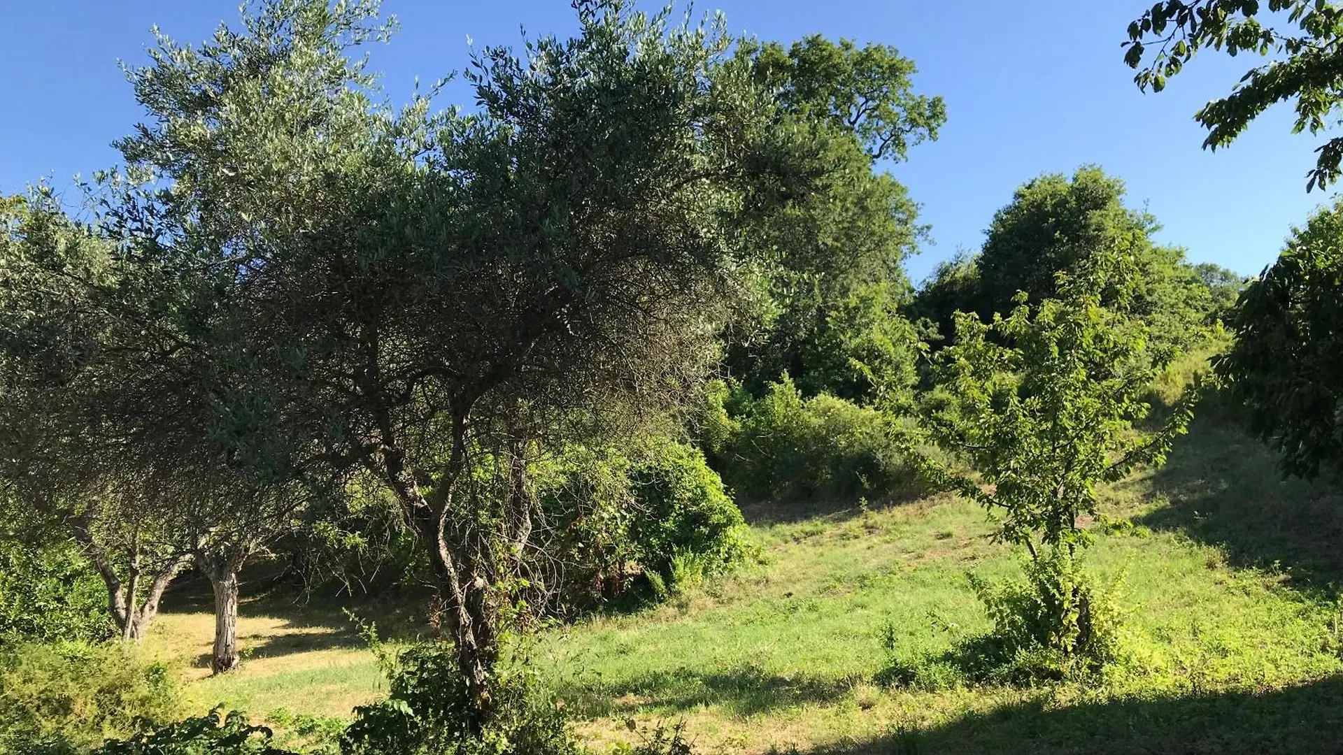 Agriturismo Ca' Poldo Ancona 0*,  Italy