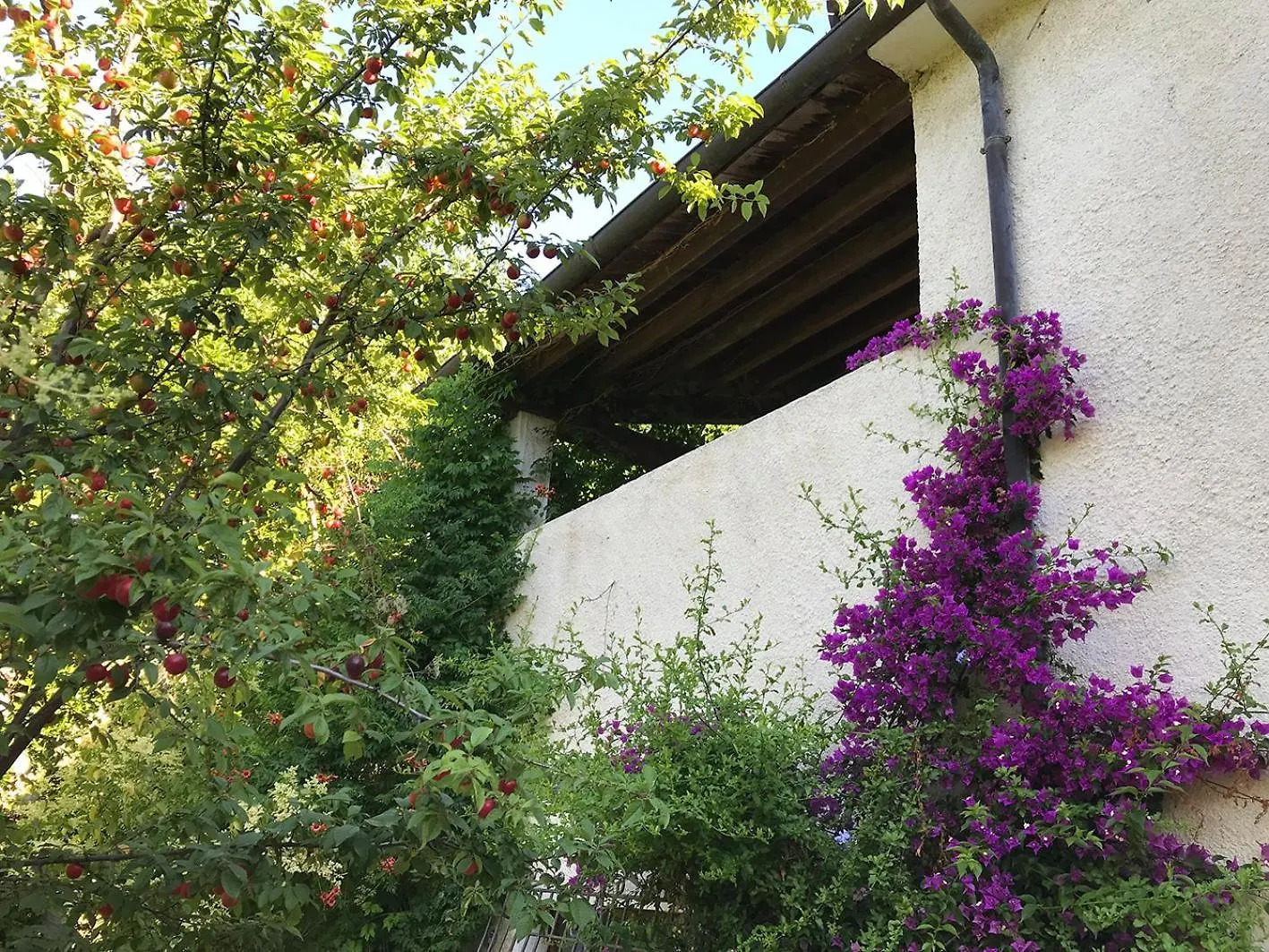 Agriturismo Ca' Poldo Ancona